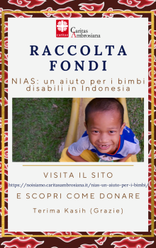 Progetti su richiesta - Articoli, raccolte fondi e altro